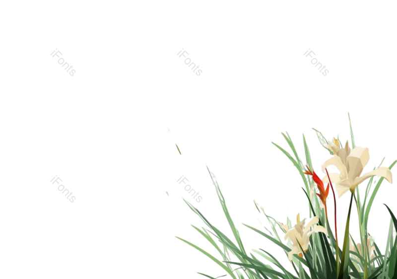 叶子图片,装饰元素,插画PNG,传统文化免抠素材